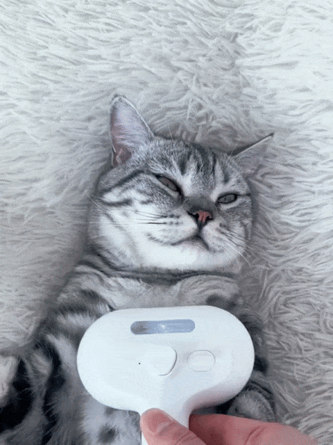 Pet Spray Haarkam voor Kat en Hond